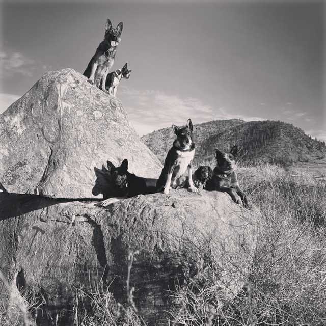 37EE53CD-F362-4898-8F68-8F85FF5452F4