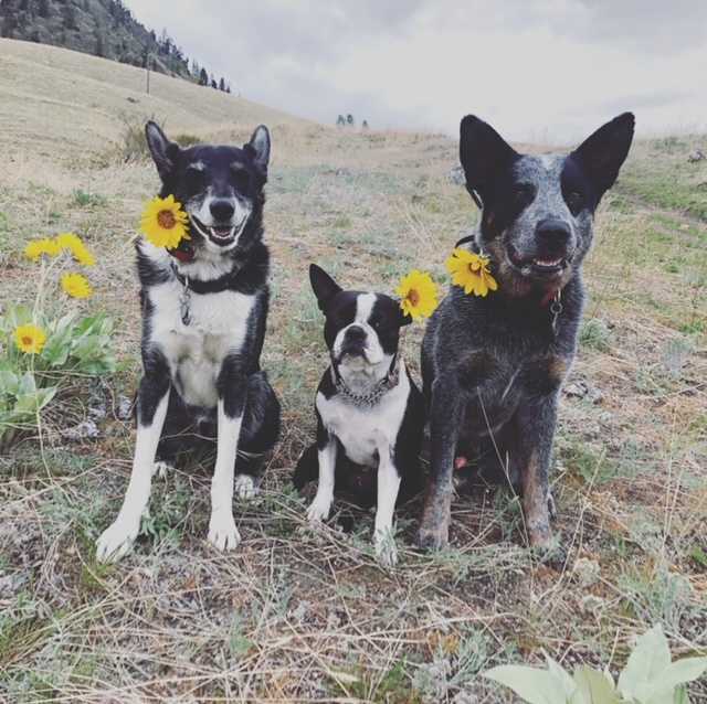 62CCC449-4CFF-4000-9BBA-E121730093F7