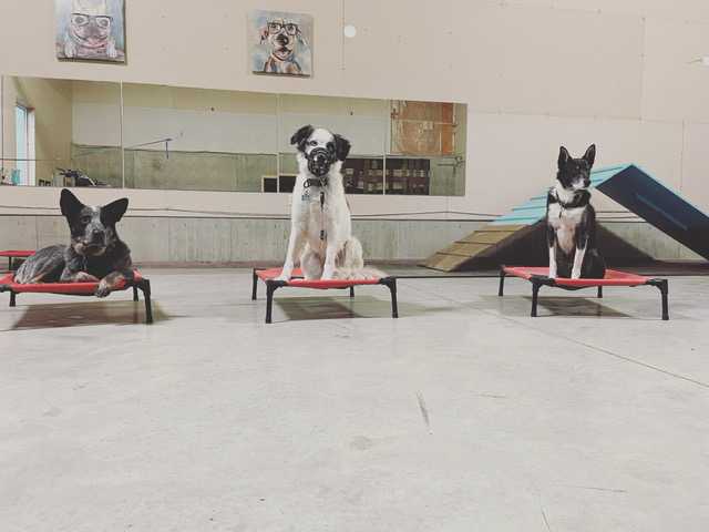 8DB2FB84-2D3A-453F-AE4F-BEB8304F7DE8