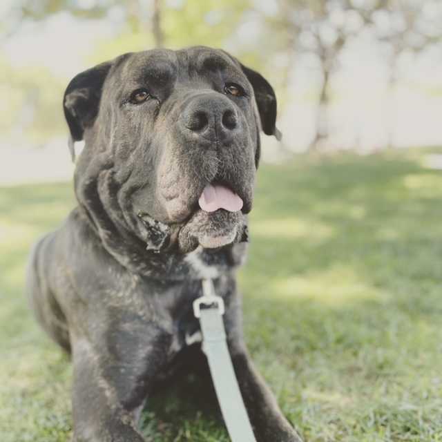 2A6C48BF-48C8-4538-A762-01C356B35B10