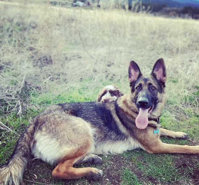 A51437B4-E6CF-46DA-B8EE-633896E88C80