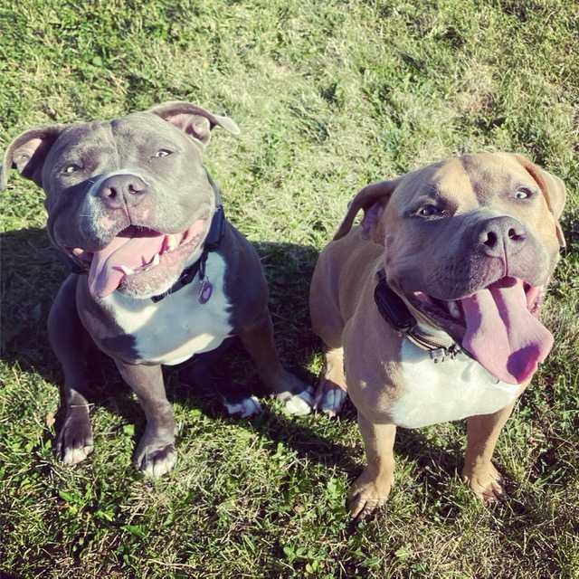 354DC3E4-0F5D-45FA-BA6F-9D5D0C7B9A29