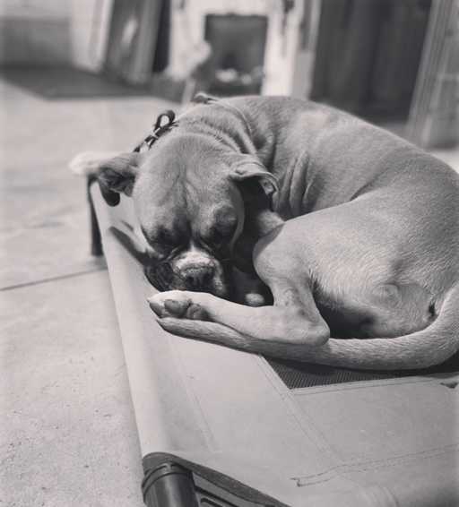 88660C80-7F4C-4ACE-9E9A-6812D62A82B8