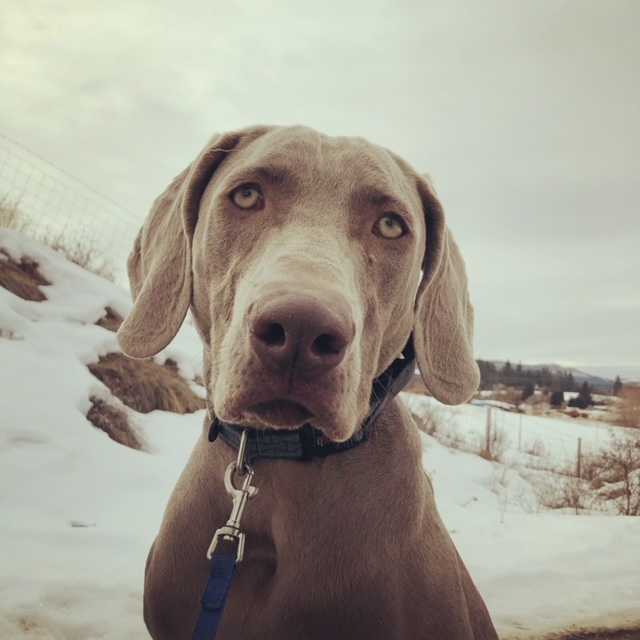 E47D6DAA-CCB4-455F-86C5-E58593639333